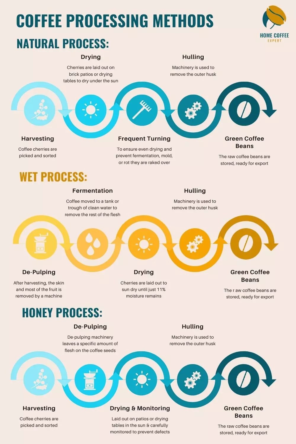 Coffee Processing 101 Washed, Natural or Honey