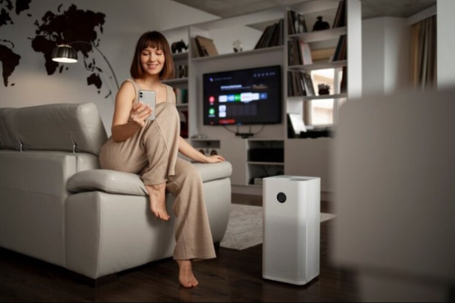 The Significance of Air Purifiers in Homes