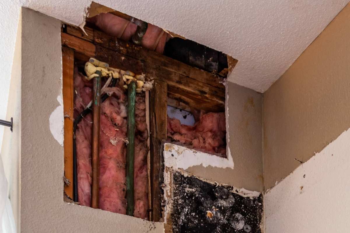 Why Does Insulation Turn Black? [Moisture Warning!] Home Efficiency Guide