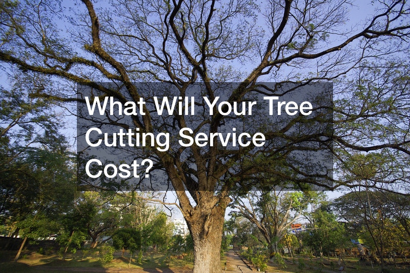 What Will Your Tree Cutting Service Cost? Home Efficiency Tips