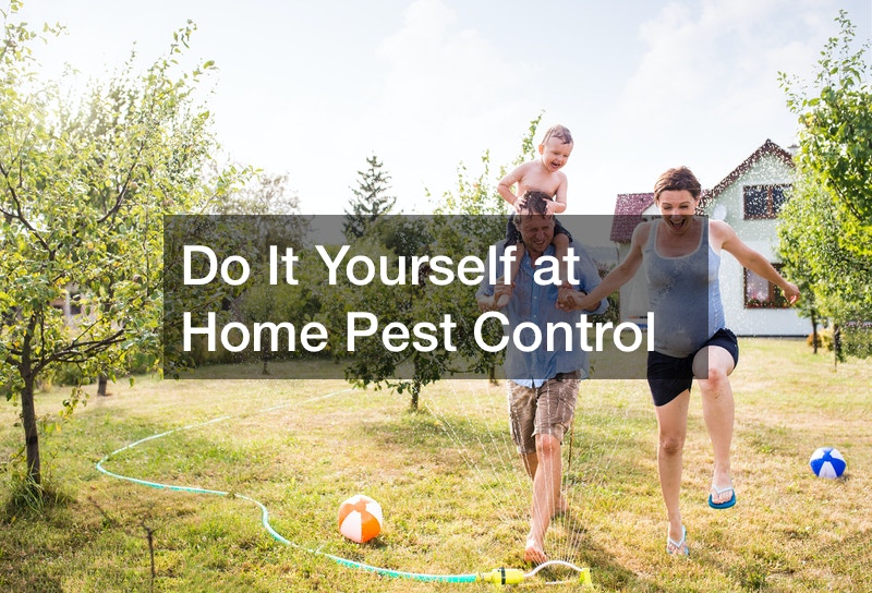 Do It Yourself at Home Pest Control Home Efficiency Tips