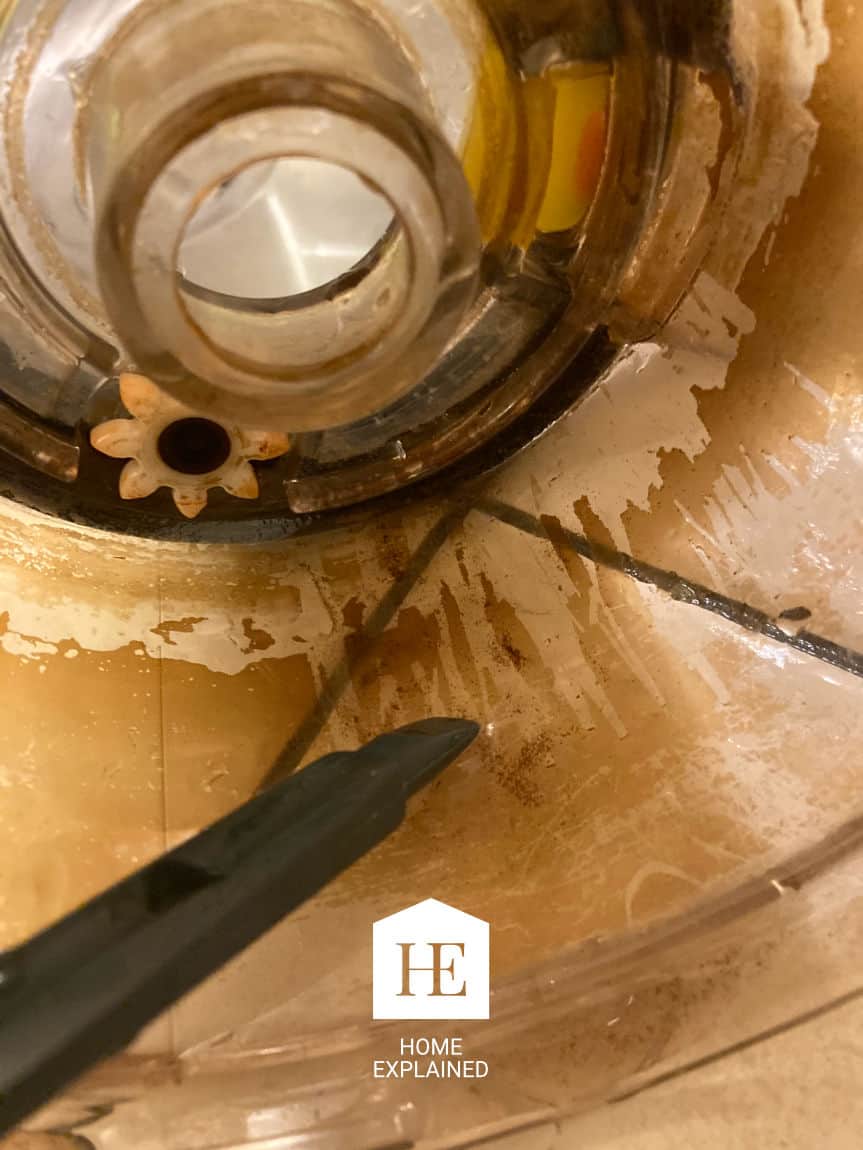 Clean a Slow Juicer in 6 Easy Steps (Fast & Efficiently) Home Explained