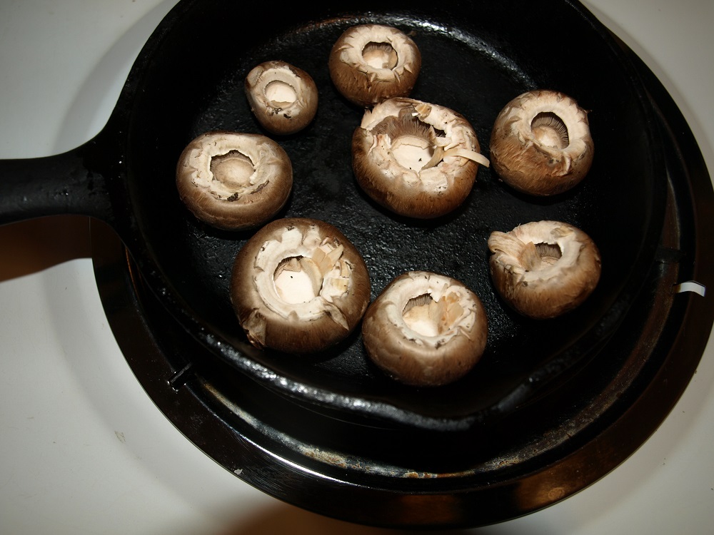 Mushroom Growing at Home Fungi Fun Home Fixated
