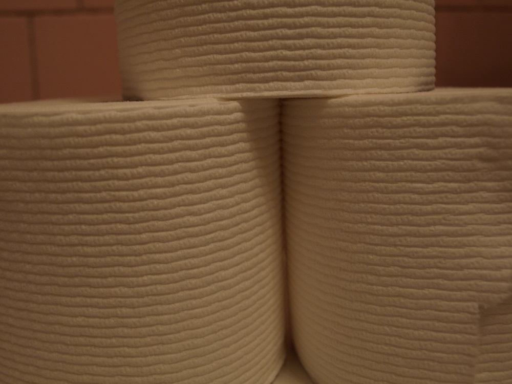 Mushroom Growing at Home Fungi Fun Home Fixated