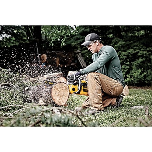 DeWalt 40V MAX Outdoor Power Equipment Take It Outside!