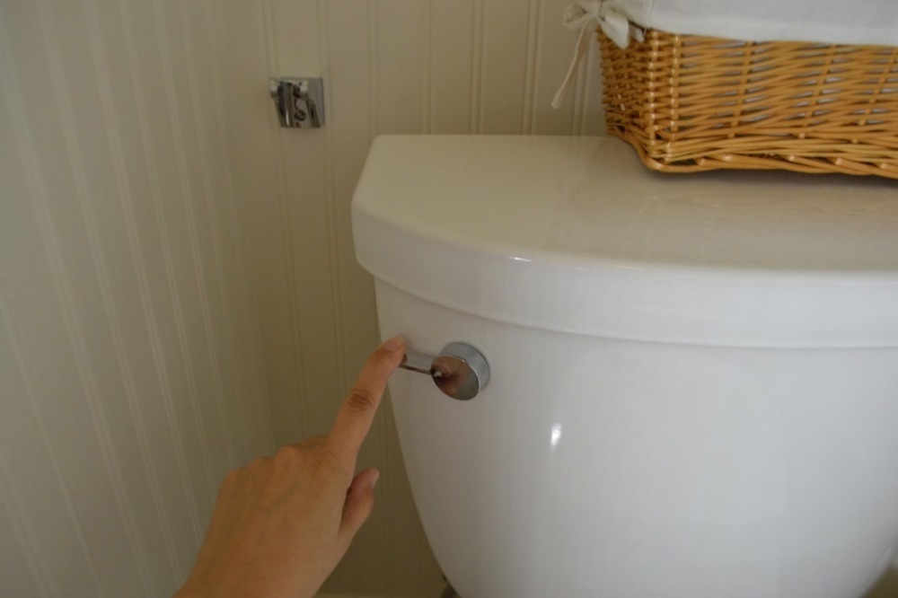 Brondell Cleanspa Bidet DIY Your Own Bidet Without Calling a Plumber