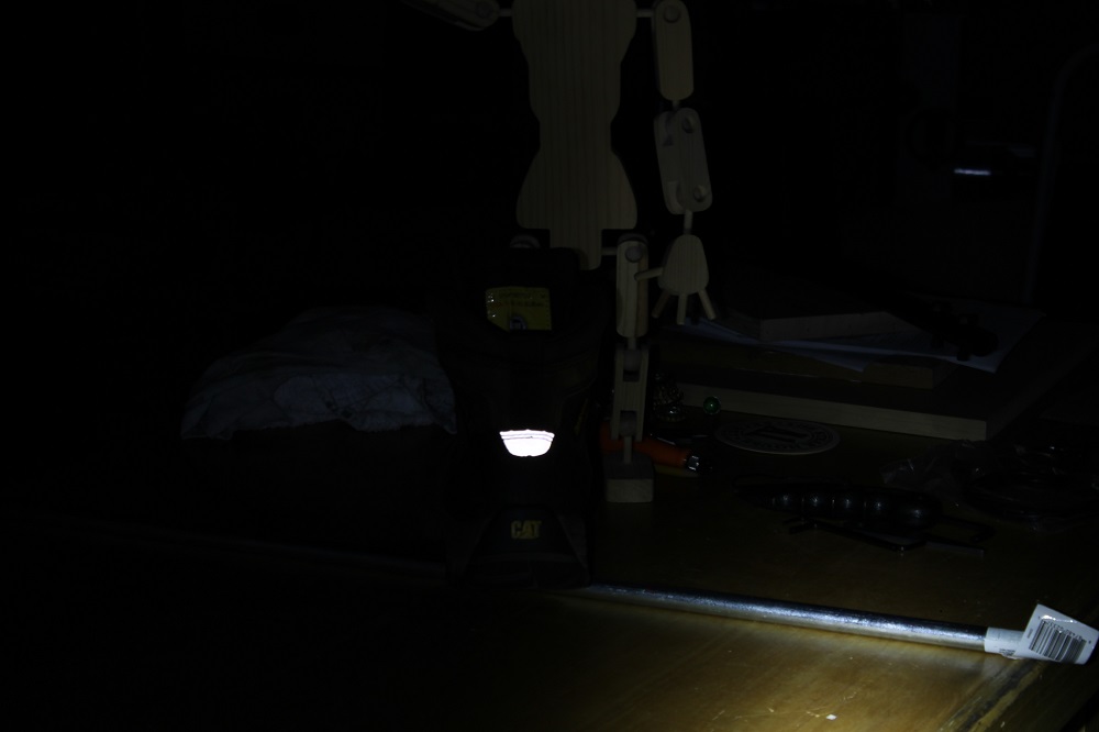 Caterpillar Safety Boots Let The Cat Guard Your Dogs Home Fixated