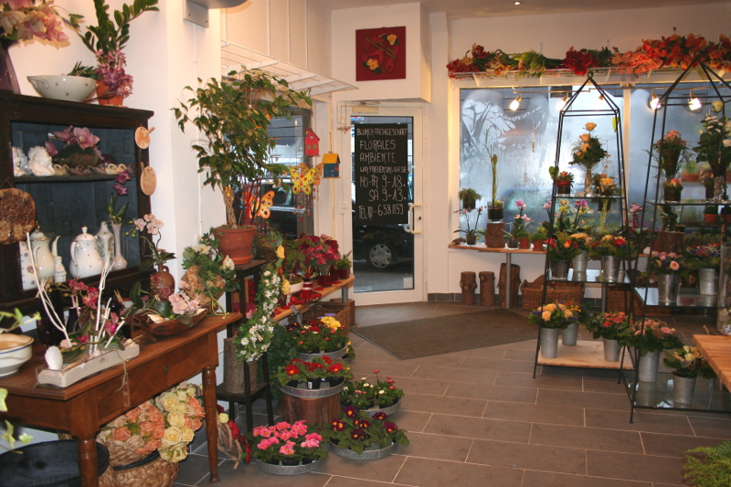 Florales Ambiente Ihr Blumenladen in Heidelberg