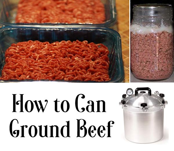 How To Can Ground Beef Home Garden DIY