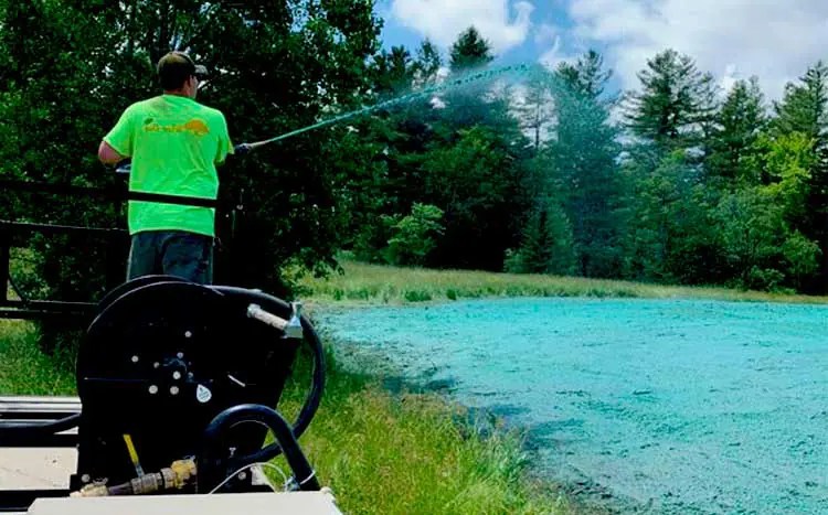 Hydroseeding Service Near Me 2022 Cost Guide