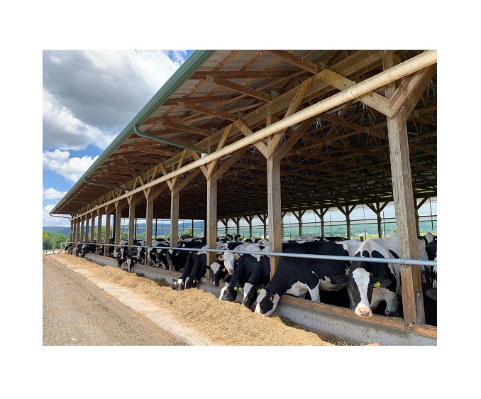 Behind the Milk with Lambert and Shafdon Farms Homegrown Frederick