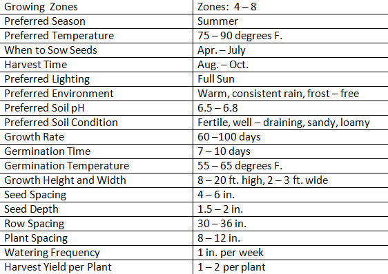 How to Grow Corn - Home Grown Fruits and Veggies