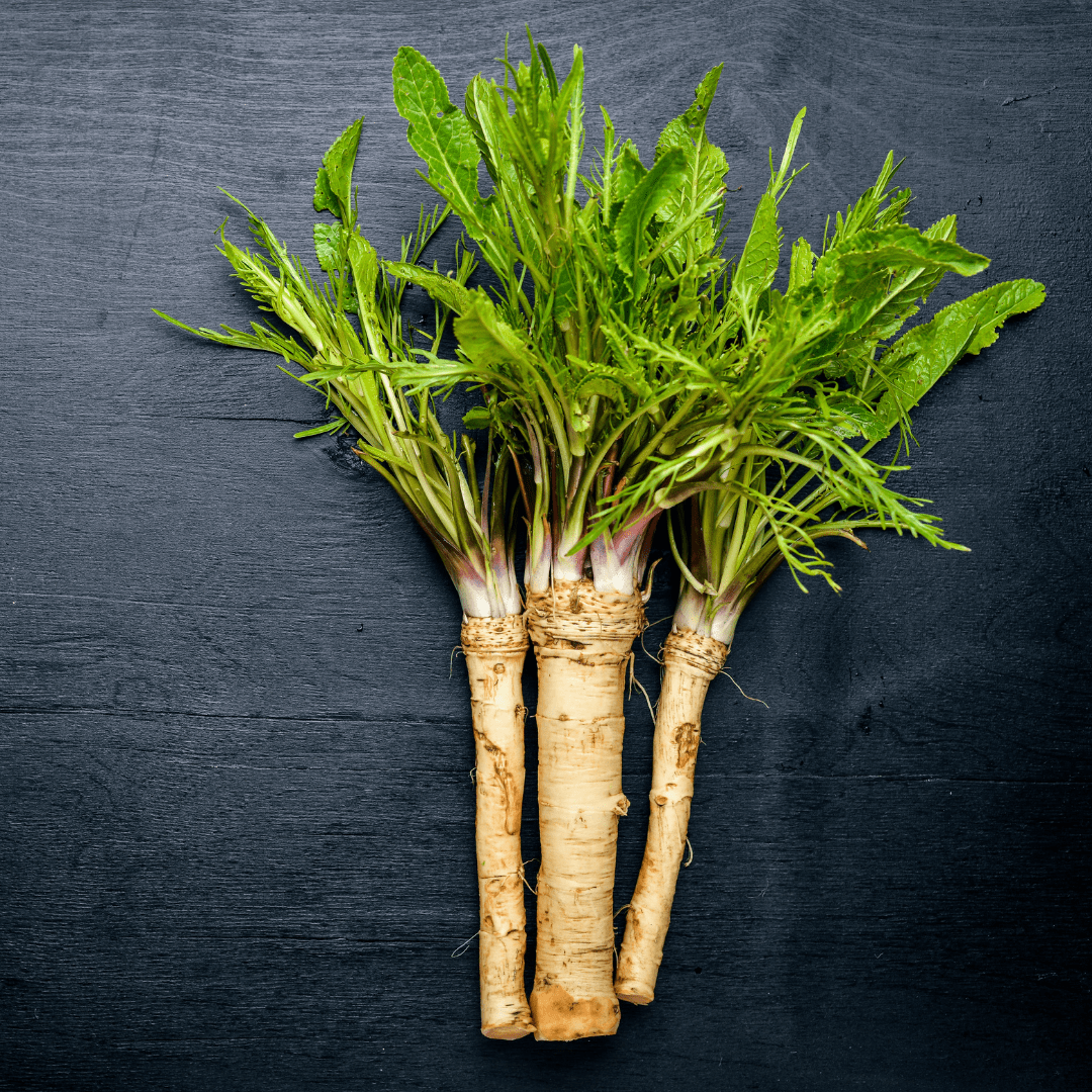 How To Grow And Harvest Horseradish In Pots Homegrown Herb Garden