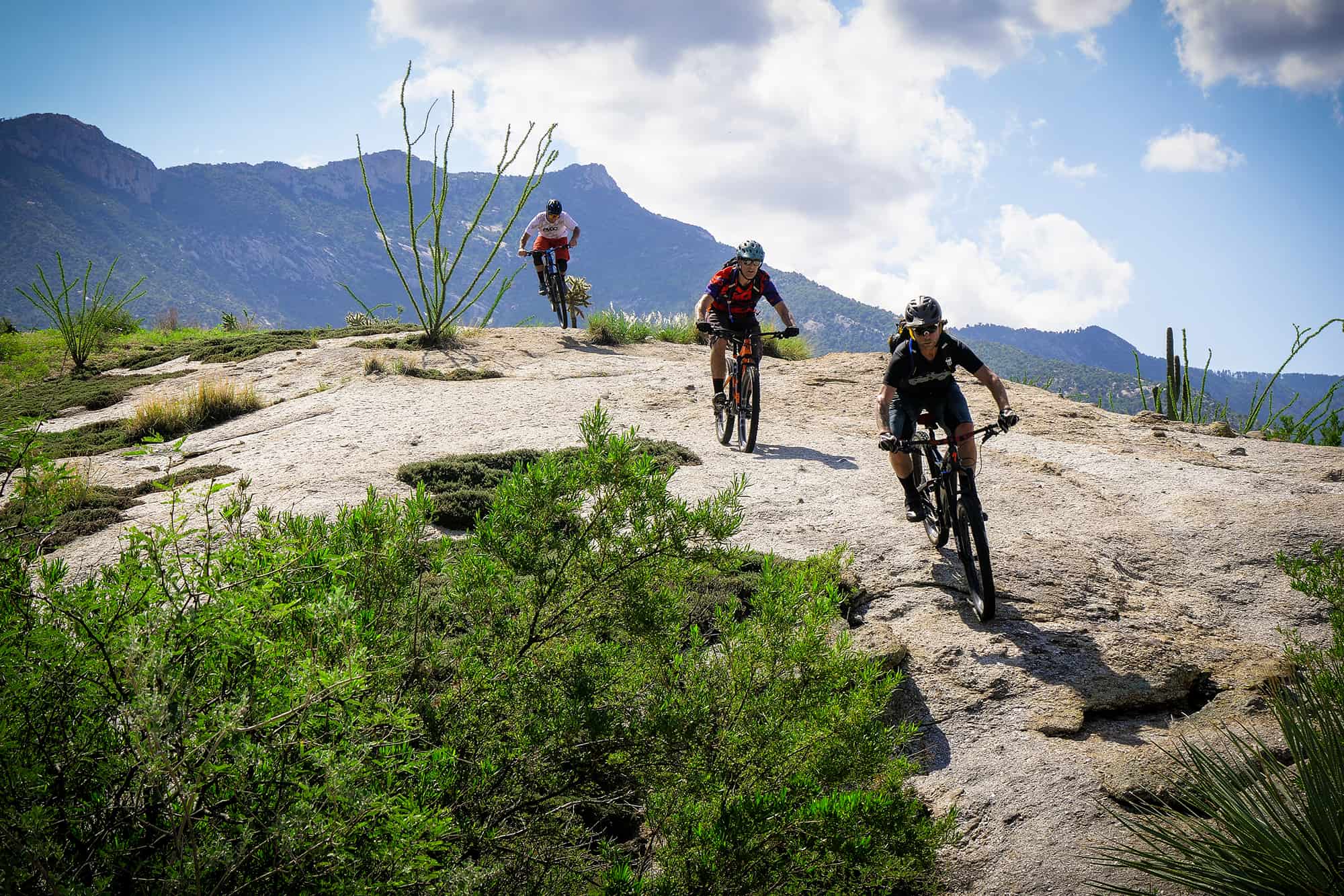 Mountain Bike Rentals, Guides, & Shuttles Packages Home Grown