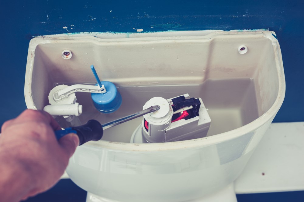 Why are Pipes Squealing When I Flush? Home Guide Corner