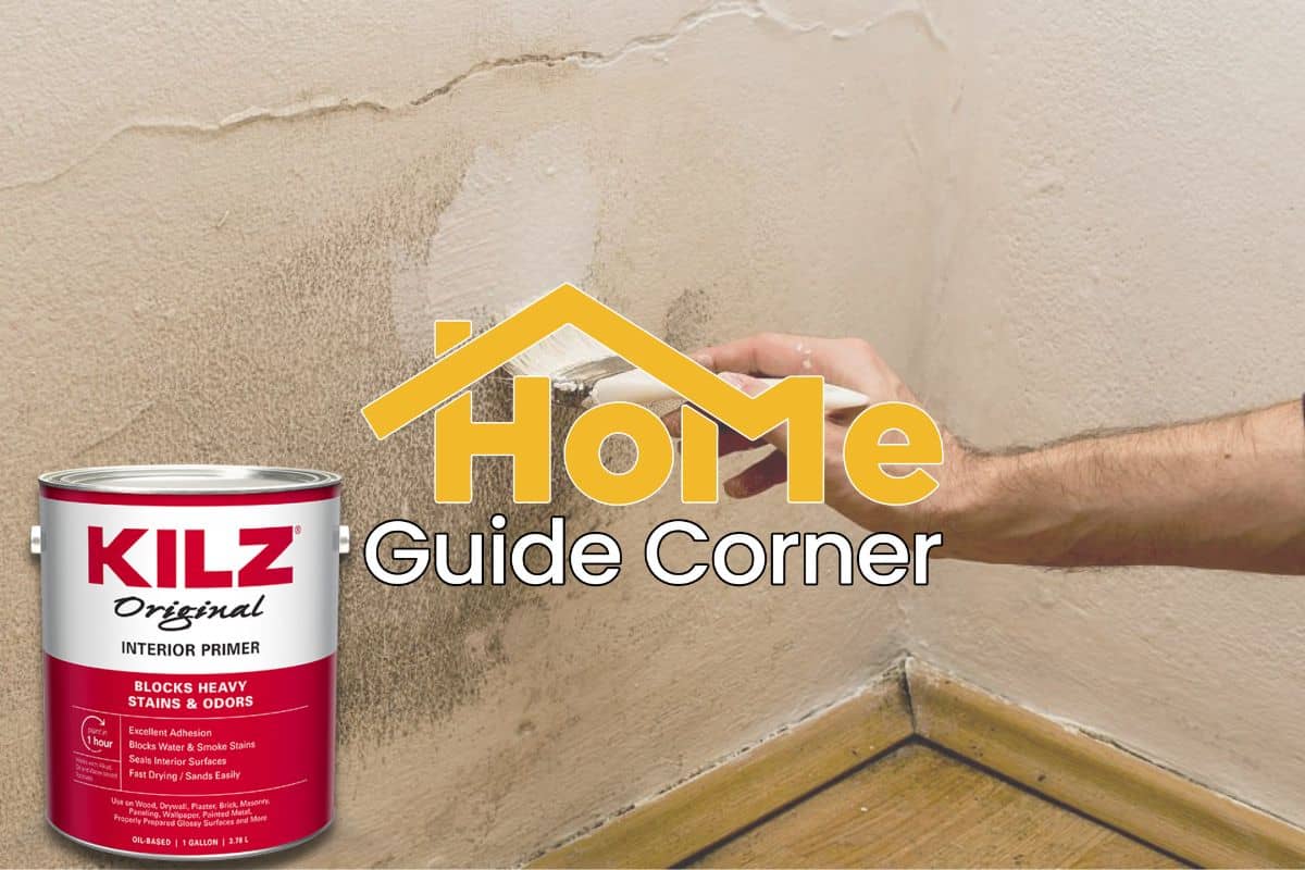 Does Kilz Kill Mold? (How to Kill Mold and Mildew Growth with Primer