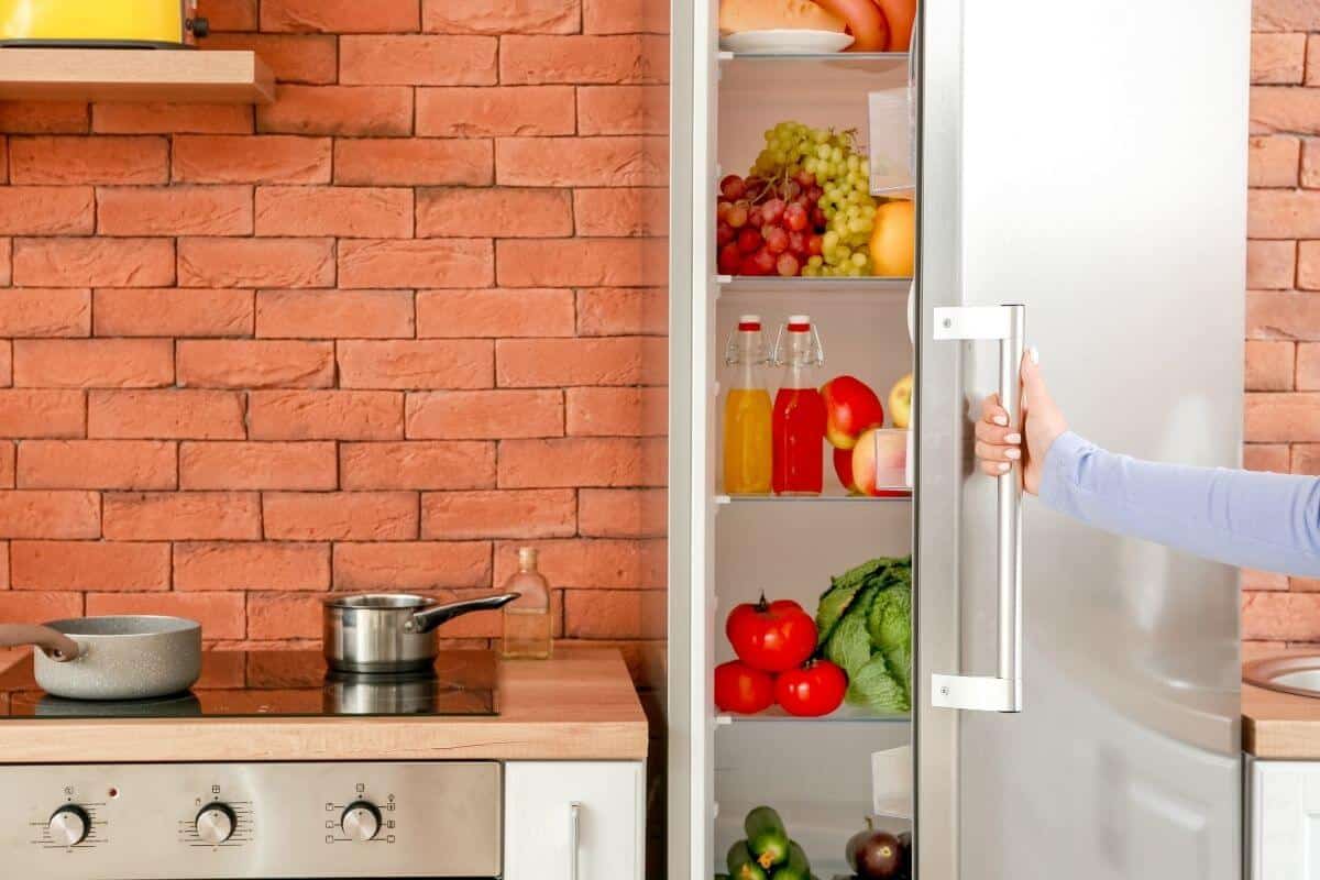 All Fridges Have Freon Myth Busted! 2024