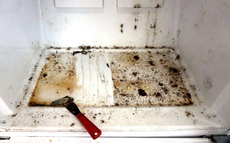7 Easy Steps To Clean A BugInfested Refrigerator! 2023