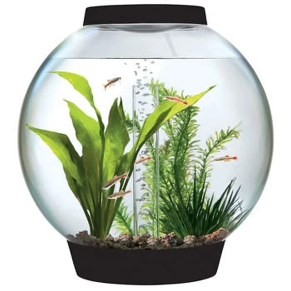 Tabletop Aquariums to compliment your modernistic home decor