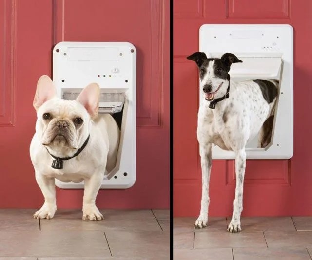 PetSafe's smart dog door opens automatically for your dog