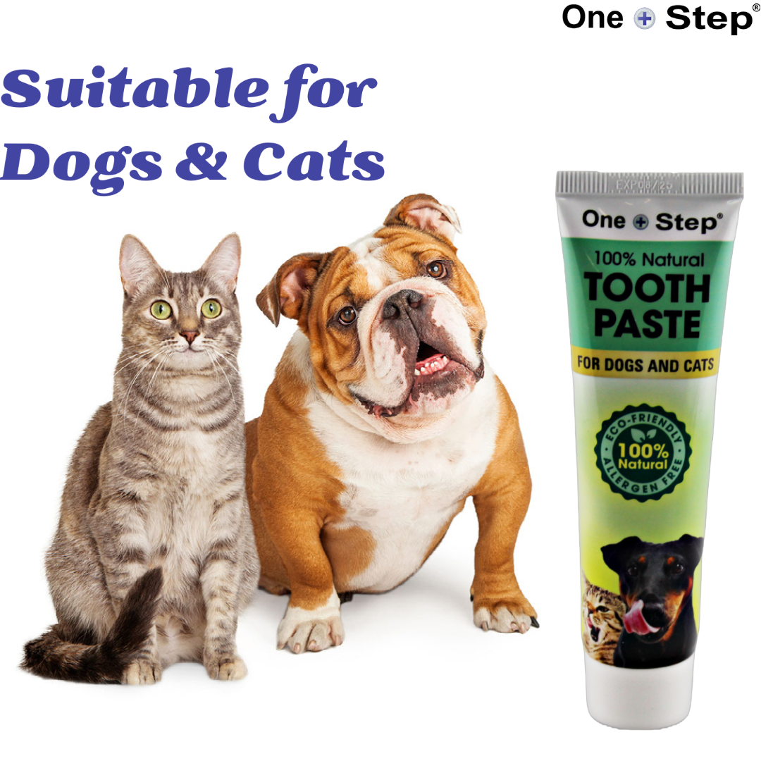 Can Dog Toothpaste Cause Upset Stomach