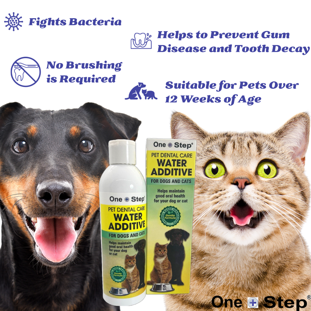 Water Additive 237ml and Toothpaste 100g Tube for Dogs and Cats Dental
