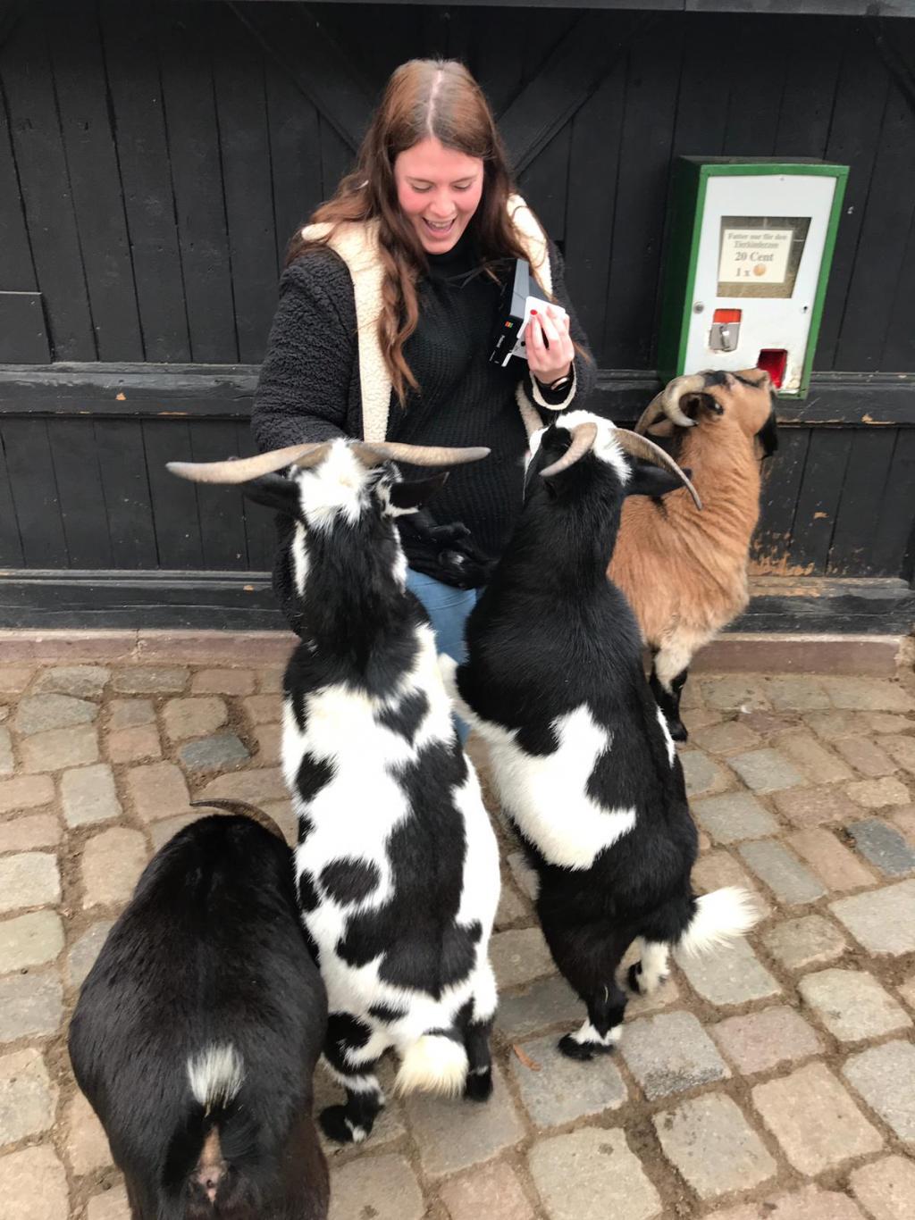 Pet Sitting and Dog Walking Nounou Luxembourg nanny, babysitter