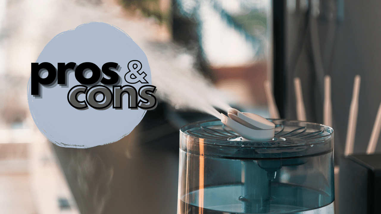 Cool Mist Vs Warm Mist Humidifier Everything You Need To Know & Which