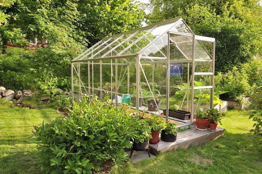 4 Different Types of DIY Greenhouse to Consider