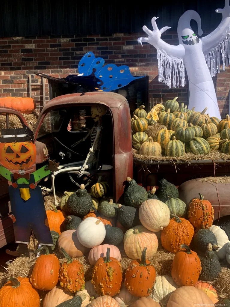 IMG_1749widget Home is Where the Boat Is