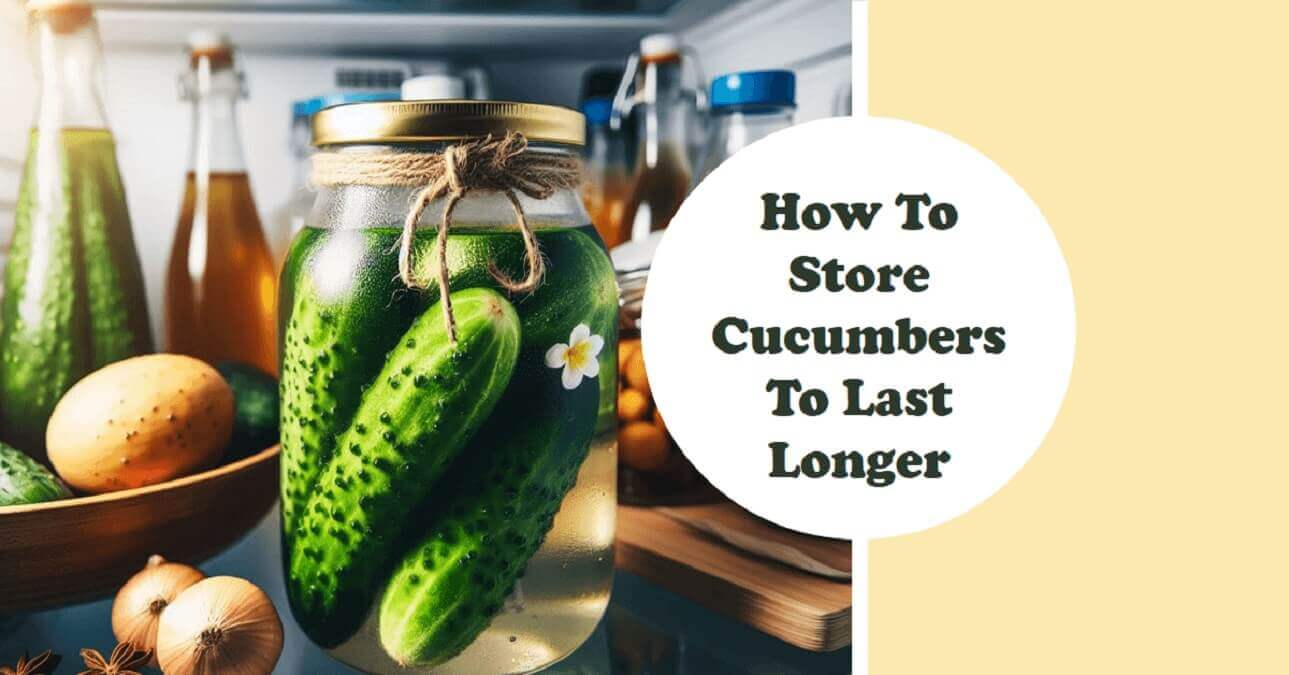 10 Easy Tips How To Store Cucumbers To Last Longer » 2024