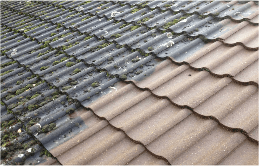 Why It's Important to Remove Roof Mold