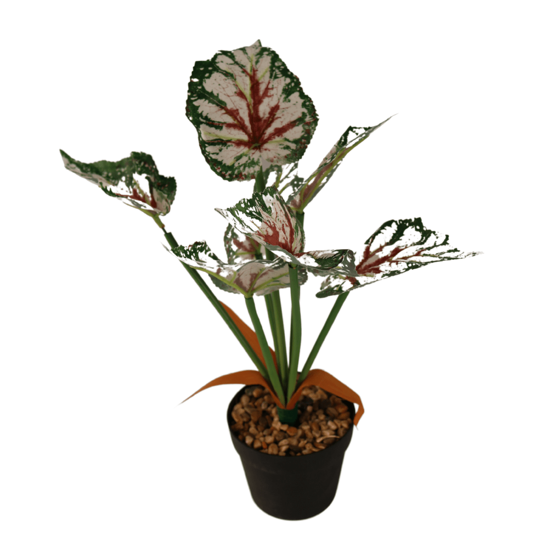 ARTIFICIAL CALADIUM 32CM PLANT Home Land Furnishings