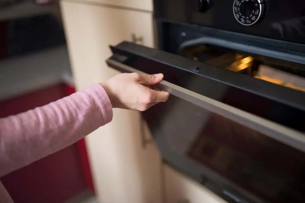Can Your Turn Off a Self Cleaning Oven Early Homely Baron