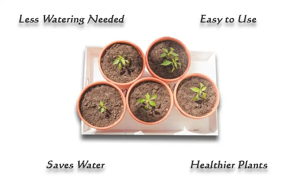 How Do Self Watering Planters Work? 8 Quick Facts (2024)