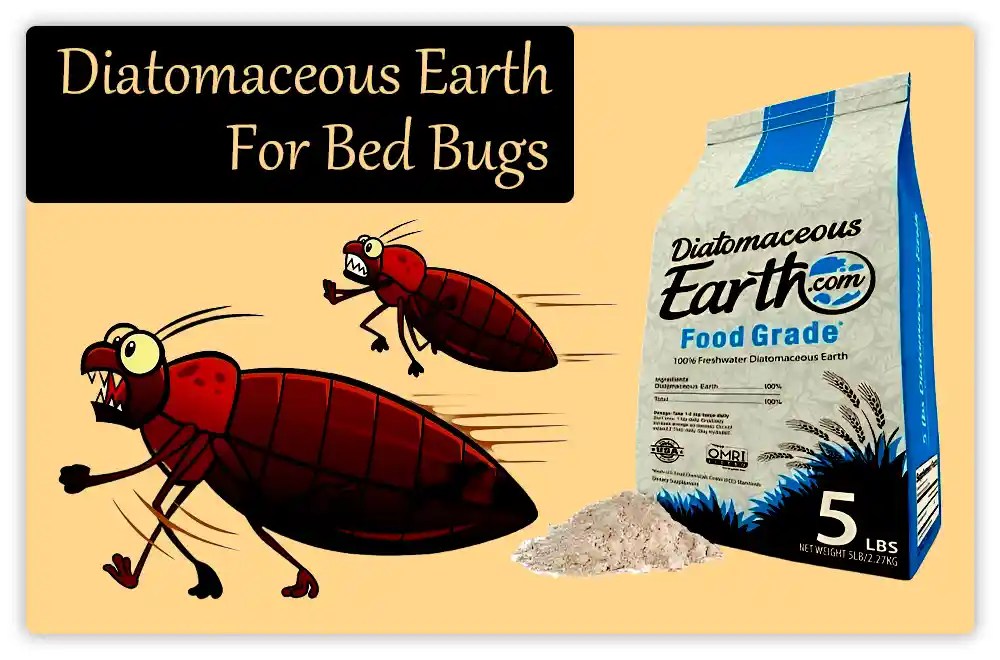 What Kills Bed Bugs Instantly 10 Easy Tips 2024