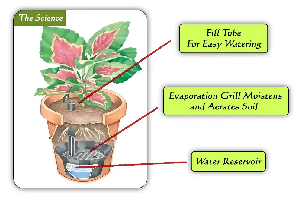 How Do Self Watering Planters Work? 8 Quick Facts (2024)