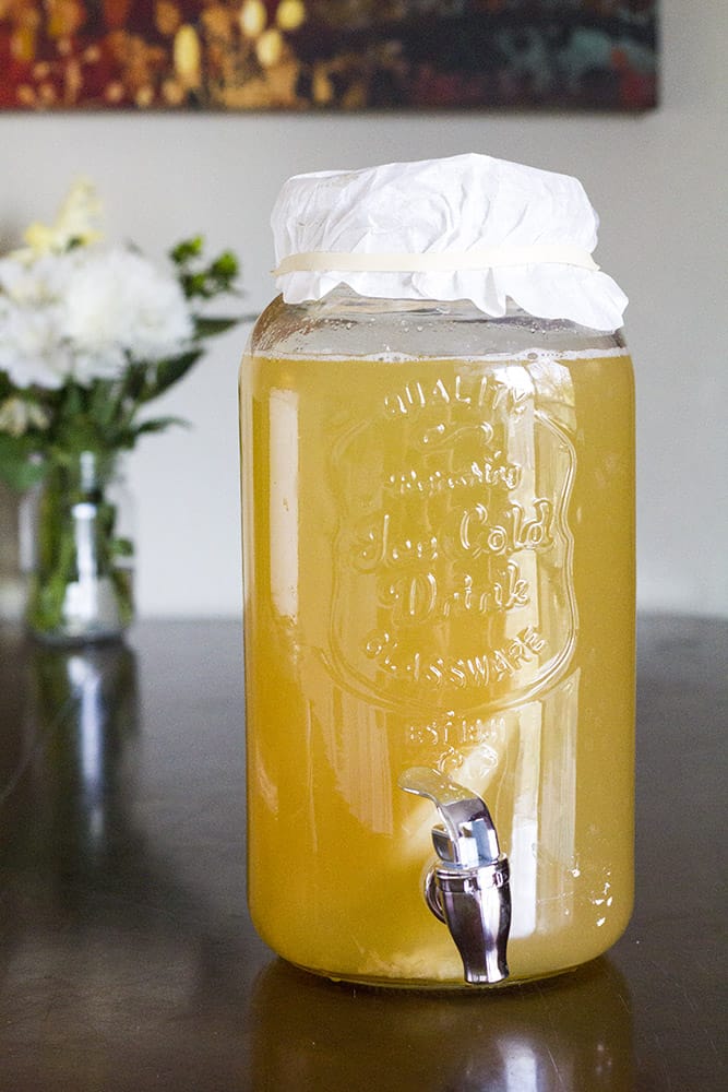 How to Make Kombucha