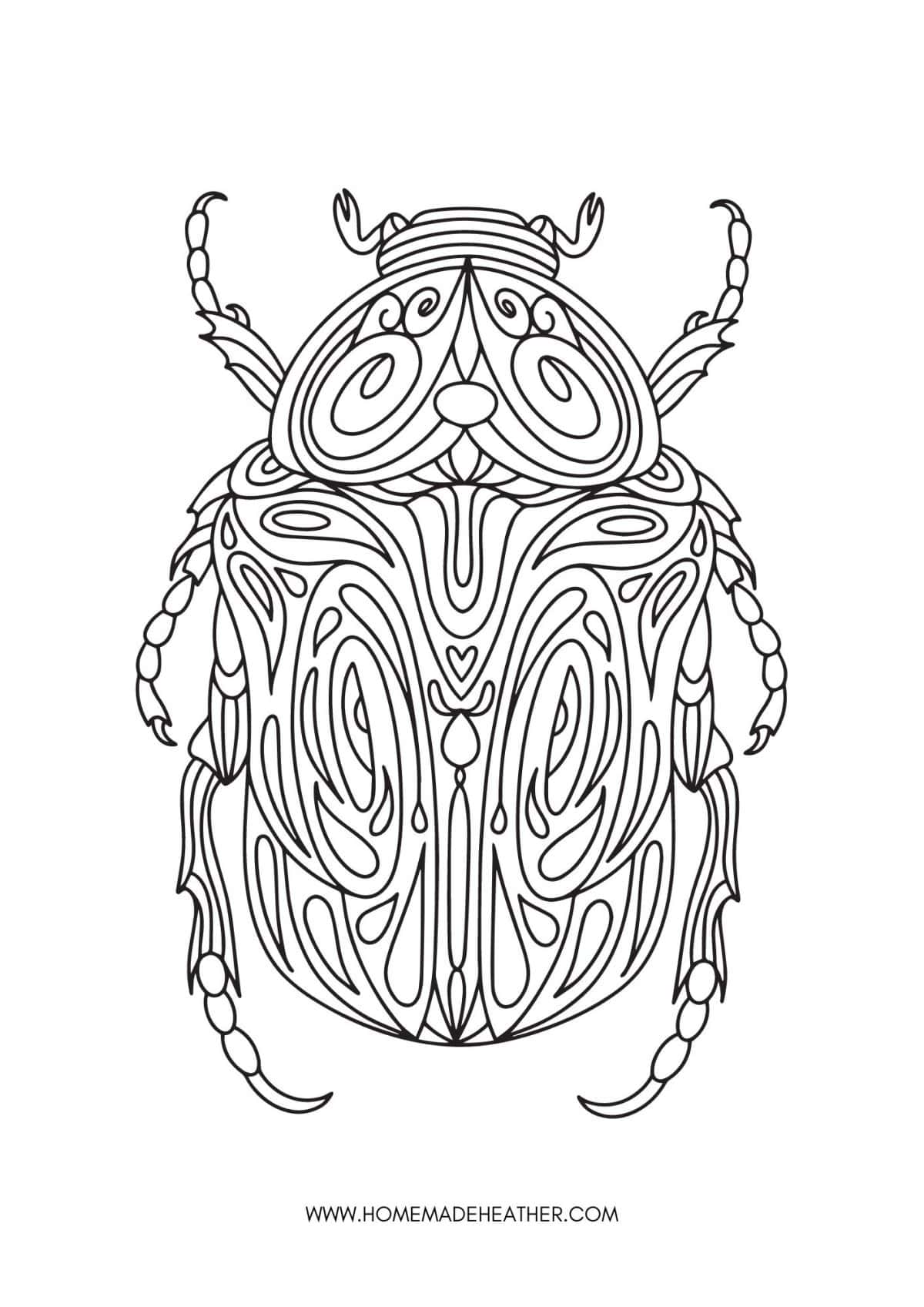 Insect Coloring Pages » Homemade Heather