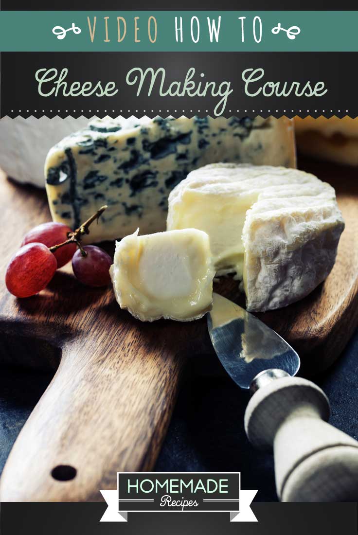 How To Make Cheese At Home Cheese Making Course