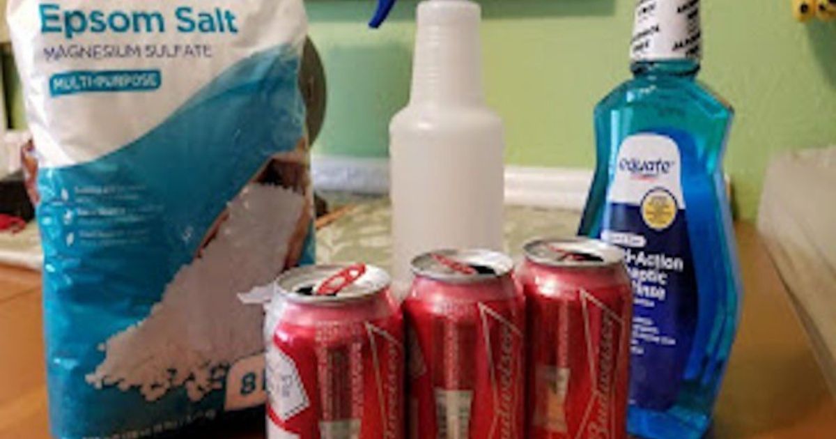 How To Ward Off Mosquitoes With Listerine Homemaking