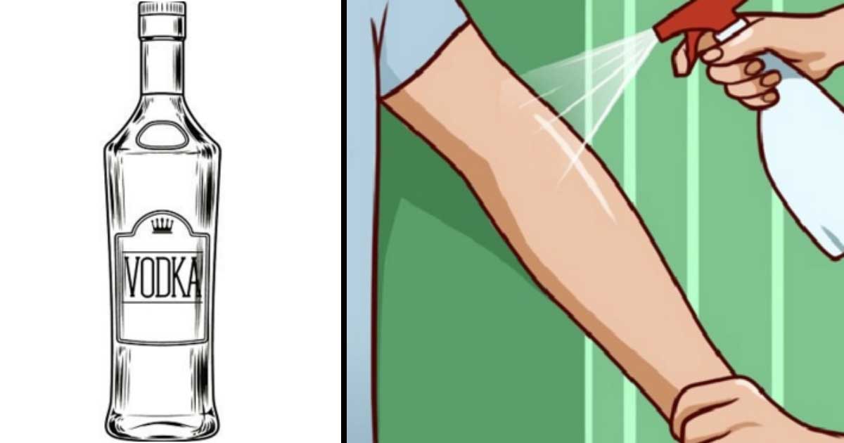 11+ Uses For Vodka That Have Nothing To Do With Drinking Homemaking