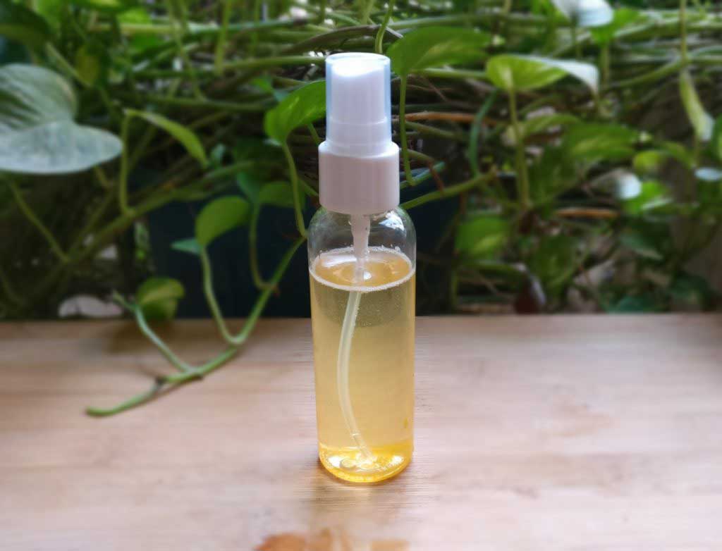 8 Natural Ways To Get Rid Of Fleas In Your Home