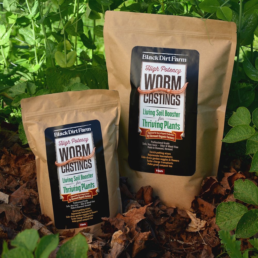 How To Fertilize And Care For Hanging Baskets So They Flower All Summer