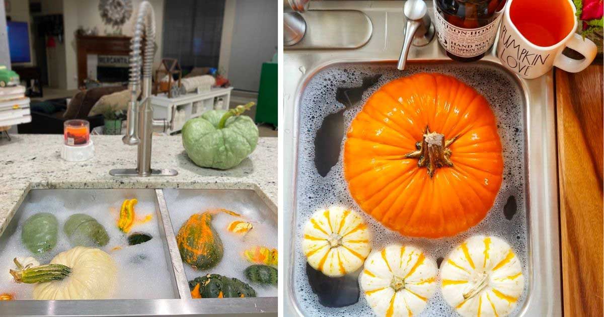 How To Give Pumpkins A Vinegar Bath So That They Last Longer