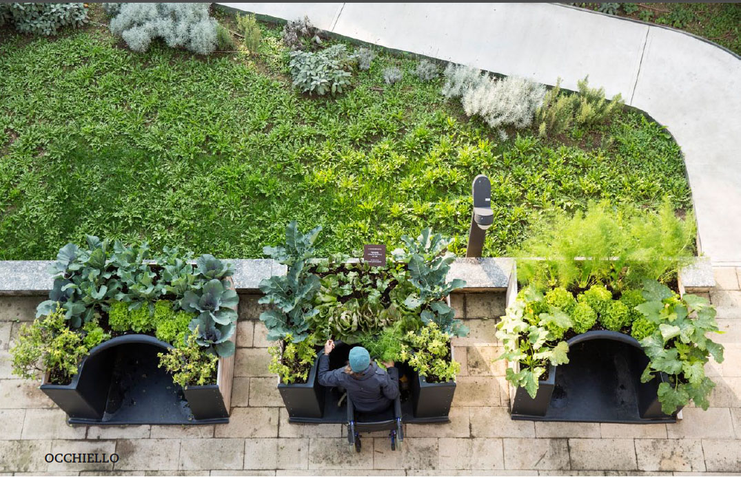 Genius Raised Plant Bed Makes Gardening Wheelchair Accessible Grandma