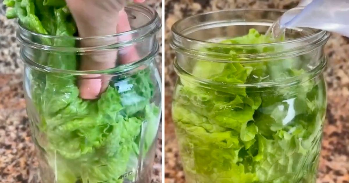 How To Keep Lettuce Fresh For Weeks On End