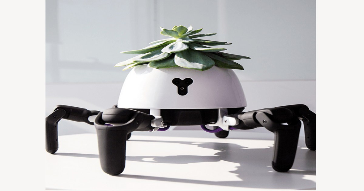 Robot Planter Throws Tantrums When Neglected and Chases the Sun to Keep