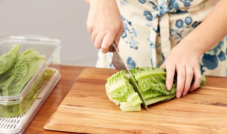 Rusty Spots on Your Lettuce What You Need to Know Homemaking 101 Daily