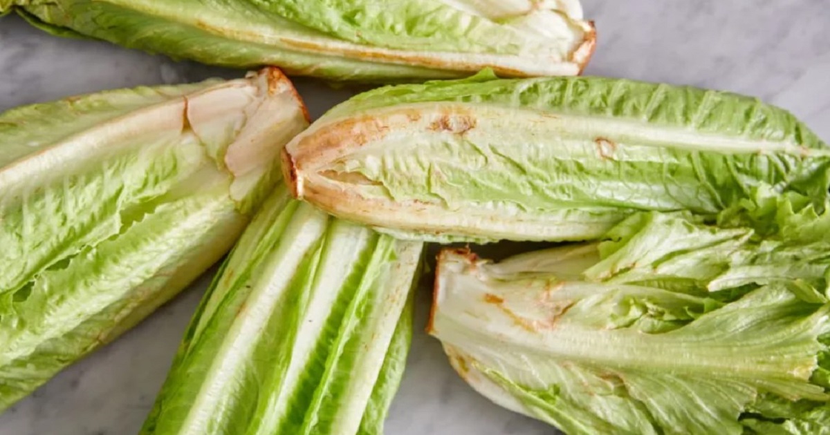 Rusty Spots on Your Lettuce What You Need to Know Homemaking 101 Daily